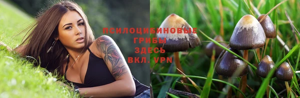 ешки Алзамай