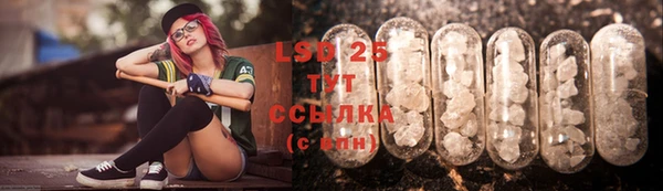 ГАЛЛЮЦИНОГЕННЫЕ ГРИБЫ Алексин