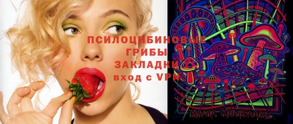 ешки Алзамай